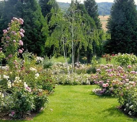 Ettenbuehl Bed & Breakfast
